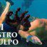 'Mi Maestro El Pulpo', El Documental Sobre La Amistad Entre Un Hombre Y Un Pulpo Que Ha Causado Sensación