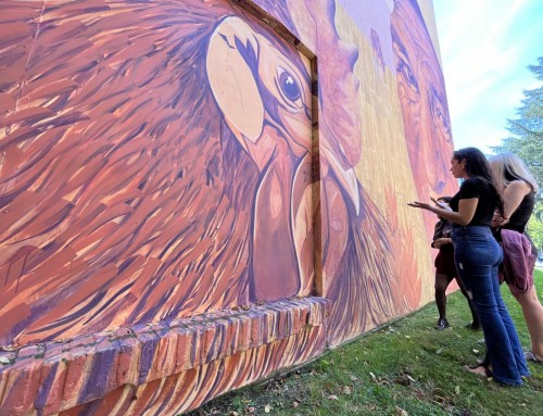 Cuatro murales con voces de mujeres serán pintados en el Maule